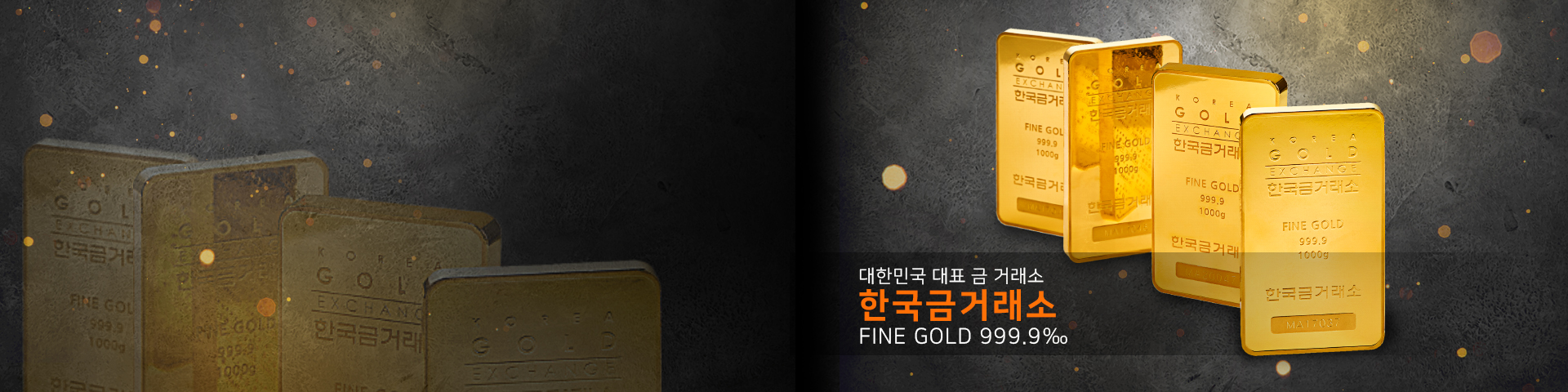 exgold_banner_1.jpeg